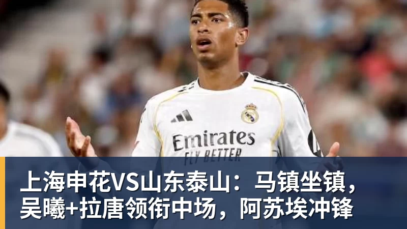 法媒:以色列战爱尔兰将戴黑袖标悼念10月7日遇难者 - 尊龙凯时 - 官方网站