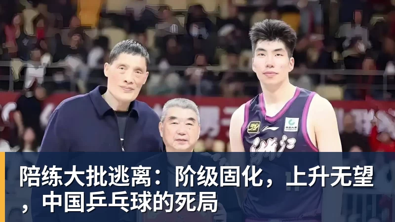 陪练大批逃离：阶级固化，上升无望，中国乒乓球的死局